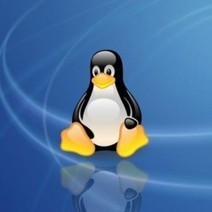 Un groupe d'utilisateurs Linux dépose une plainte antitrust contre Microsoft | Libertés Numériques | Scoop.it