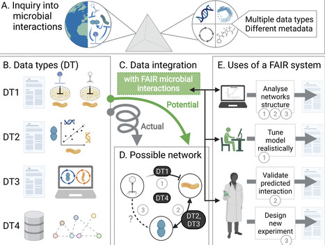 Toward FAIR Representations of Microbial Interactions | mSys | RMH | Scoop.it