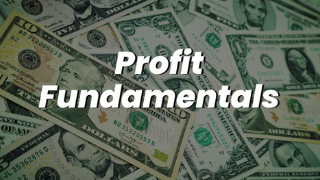 Profit Fundamentals - Your Pathway to Sustainable Financial Success | Digital & Physical Products Reviews | Scoop.it
