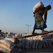 L'Inde annonce un vaste (et coûteux) plan d'aide alimentaire | Questions de développement ... | Scoop.it