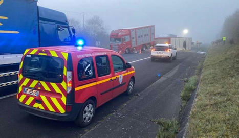 Charente-Maritime : un camion transportant du bétail couché sur l'A10 | Actualité Bétail | Scoop.it