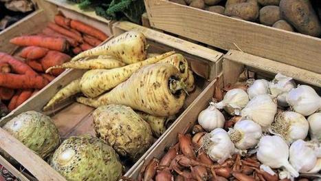 Comment les produits BIO sont tomb&eacute;s aux mains des multinationales - LE POUVOIR MONDIAL | Contenu pour mon Blog | Scoop.it