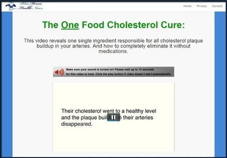 The Oxidized Cholesterol Strategy Review Free - 