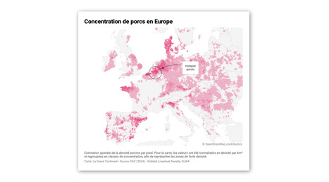 DANEMARK : Il y a plus de porcs que d'habitants&nbsp; | Revue de presse - Club DEMETER | Scoop.it