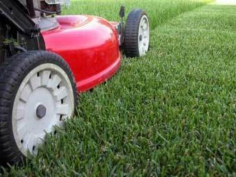 Great Teachers Know When to Cut the Grass | 21st Century Learning and Teaching | Scoop.it