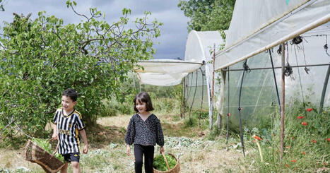 Dans cette ville française, on cultive ses propres légumes pour nourrir les écoliers | Attitude BIO | Scoop.it