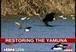 Scientists try to restore Yamuna's original ecosystem | BIODIVERSITY IS LIFE  &ndash; | Scoop.it