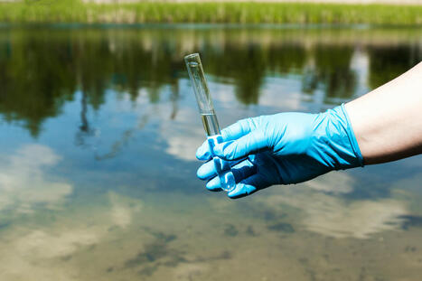 PFAS: la soluzione potrebbe arrivare dai luoghi più contaminati | One Health News: salute, ambiente, animali e società - A cura di ISDE, Festival della salute, Marketing sociale. N°18 | Scoop.it