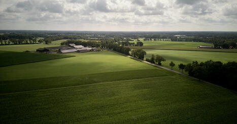 EU: Netherlands delays nitrogen emissions target, defying its own judges and the EU  | EUROPES | Scoop.it