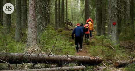 Luontoon jätetty käytetty vessapaperi surettaa ja suututtaa HS:n lukijoita | HS.fi | 1Uutiset - Lukemisen tähden | Scoop.it