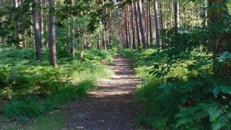L’agglomération Seine-Eure lance un programme d’actions pour la forêt | Une semaine d'actu - Newsletter de veille de l'AURH | Scoop.it