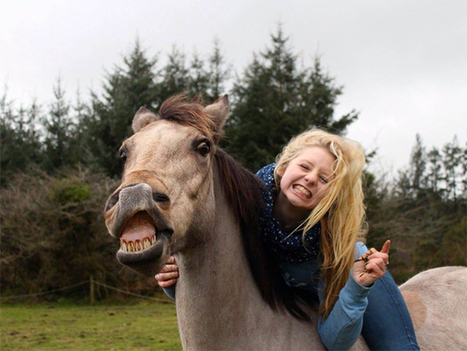 Caballos y humanos comparten expresiones faciales muy similares | Caballo, Caballos | Scoop.it