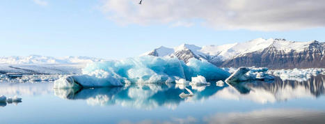 Polar Summit - One Planet Summit | Biodiversité | Scoop.it