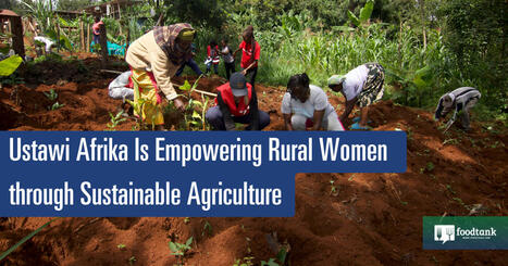 Ustawi Afrika Is Empowering RURAL WOMEN through Sustainable Agriculture | CIHEAM Press Review | Scoop.it