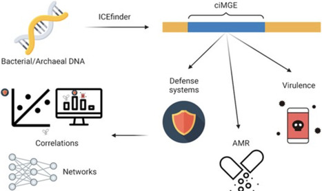 Defense systems are pervasive across chromosomally integrated mobile genetic elements and are inversely correlated to virulence and antimicrobial resistance | NAR | RMH | Scoop.it