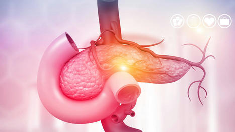 Artificial pancreas successfully treats type 1 diabetes | Daily realities of diabetic patients | Scoop.it
