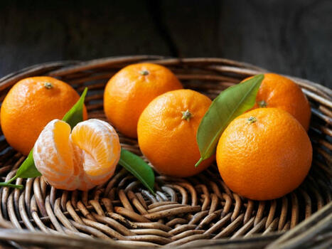 ALIMENTATION : Mandarine et clémentine : une histoire commune qui repose sur un coup de chance | ALIMENTATIONS | Scoop.it