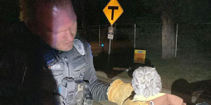 Cops Discover Meth, Owl, During DUI Stop | DUI | Scoop.it