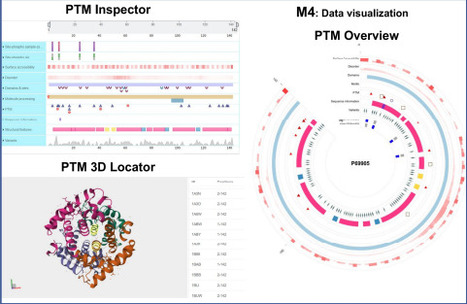 PTMExplorer: A Multi-Dimensional Integrative Visualization Platform for Protein Post-Translational Modification Function and Structure | brvbi | RMH | Scoop.it