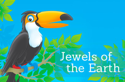 What if your backyard was a rainforest? | Rainforest CLASSROOM | Scoop.it