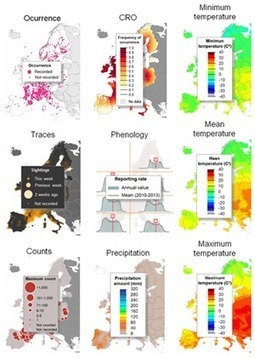 EuroBirdPortal | Biodiversité | Scoop.it