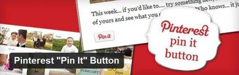 Pinterest introduce il nuovo pulsante Pin It | SocialMedia_me | Scoop.it