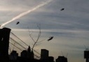 TechCrunch | Flying People Spotted Over New York City&hellip;Film At Nine | Innovation & Marketing | Scoop.it