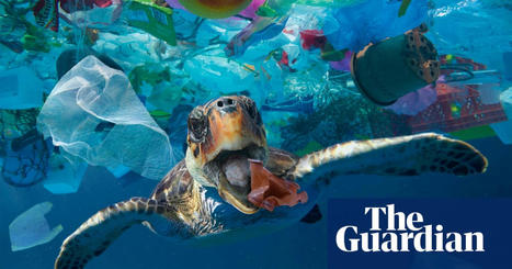 Takeaway food and drink litter dominates ocean plastic, study shows | Plastics | The Guardian | GTAV AC:G Y7 - Water in the world | Scoop.it