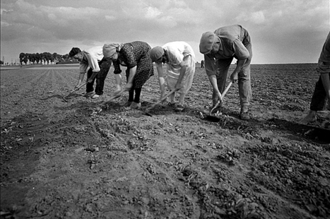 Municipales 2014 : Cop&eacute; pr&ecirc;t &agrave; travailler avec Borloo | Chronique des Droits de l'Homme | Scoop.it
