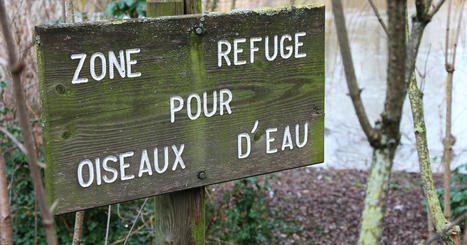 Lancement d'une consultation citoyenne sur la strat&eacute;gie nationale pour la biodiversit&eacute; | Environnement et technique | Scoop.it