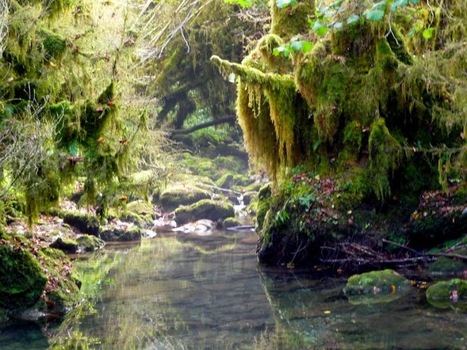 Tournay. Concours photos «Dans la petite Amazonie» | Vallées d'Aure & Louron - Pyrénées | Scoop.it
