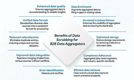 Benefits of Data Scrubbing for B2B Companies | Data Management Solutions | Scoop.it