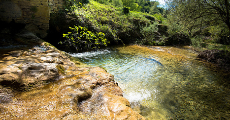 12 nouvelles rivi&egrave;res labellis&eacute;es en bon &eacute;tat en Rh&ocirc;ne-M&eacute;diterran&eacute;e et Corse | GREENEYES | Scoop.it