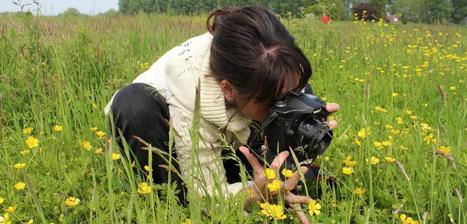 Science participative : 30 000 observations ajoutées à la base de données de l'Inventaire National du Patrimoine Naturel | EntomoNews | Scoop.it