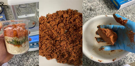 Cette prot&eacute;ine oubli&eacute;e pourrait &eacute;craser le soja sur le march&eacute; vegan&hellip; elle &eacute;tait pourtant sous nos yeux | ITERG - Veille sectorielle | Scoop.it