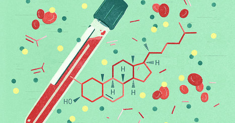 HDL Cholesterol: Too Much of a Good Thing? | Physical and Mental Health - Exercise, Fitness and Activity | Scoop.it