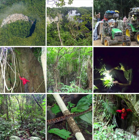 Expedition to Chiquibul Sinkhole | Cayo Scoop!  The Ecology of Cayo Culture | Scoop.it