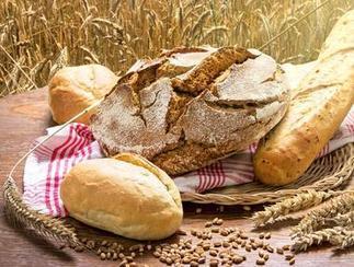 Lallemand peut mettre sur le marché sa levure enrichie en vitamine D / Ingrédients - Process Alimentaire, le magazine de l'industrie agroalimentaire | Ingrédients de boulangerie pâtisserie | Scoop.it