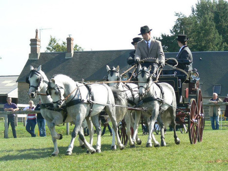 Mortagne-au-Perche Jean-Charles Davoust, le Mortagnais qui murmure à l’oreille des chevaux | Cheval et sport | Scoop.it