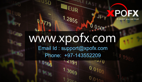 Best Online Forex Trading Company In Dubai Xp - 