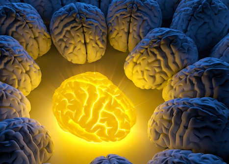 How WHOLE Turmeric Heals The Damaged Brain | naturopath | Scoop.it