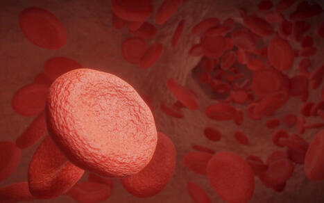 Irène Frachon à Paris : une conférence et une table ronde sur l’intégrité scientifique | Faculté de Santé | Veille Ethique de la recherche | Scoop.it