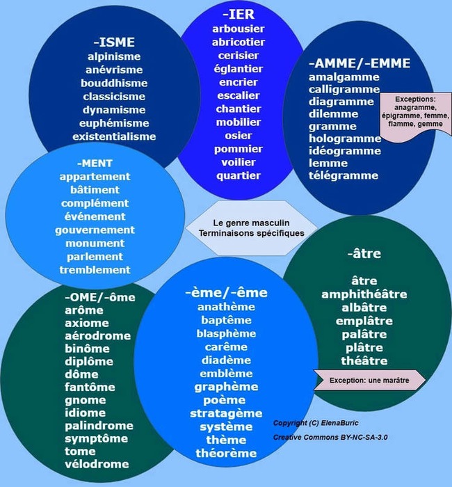 Noms. Le genre masculin.Terminaisons spécifiques (deuxième partie) | POURQUOI PAS... EN FRANÇAIS ? | Scoop.it