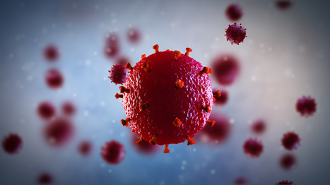 NONO, la protéine « lanceuse d’alerte » qui détecte le VIH | sida | Scoop.it
