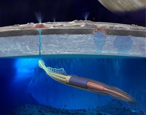 NASA Is Considering The Use Of Soft Robotic Squids To Explore Europa | Biomimicry | Scoop.it