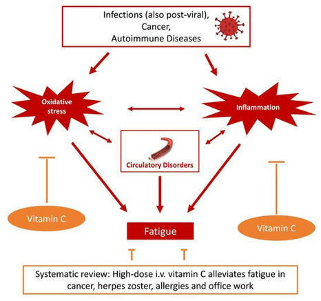 Nutrients | Free Full-Text | Feasibility of Vitamin C in the Treatment of Post Viral Fatigue with Focus on Long COVID, Based on a Systematic Review of IV Vitamin C on Fatigue | Veille Covid Long | Scoop.it