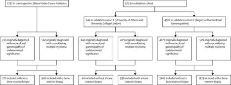 Personalised progression prediction in patients with monoclonal gammopathy of undetermined significance or smouldering multiple myeloma (PANGEA): a retrospective, multicohort study | Hematology | Scoop.it