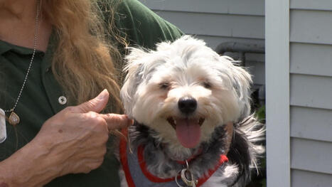 Grieving pet owners push for 24/7 emergency animal care to return to Evansville | Grief & Bereavement Counseling | Scoop.it