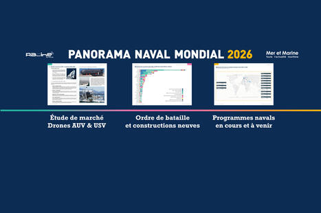 Euronaval : Racine Group et vont publier un panorama des marines mondiales | DEFENSE NEWS | Scoop.it