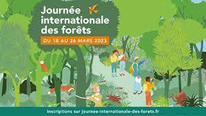JIF – Journée internationale des forêts 2023 | Variétés entomologiques | Scoop.it